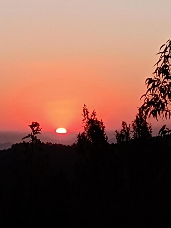 Casa Recanto Beija Flor, Monte Verde Monte Verde  Eksteriør billede